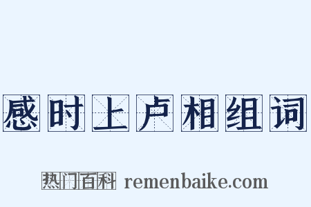 感时上卢相组词是什么意思的图片